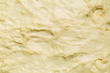 Raw yeast cake growing in bowl