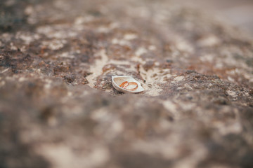 wedding rings on beach