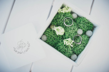 wedding rings on moss