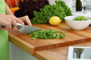 Closeup of woman hands cooking vegetables salad in kitchen. Healthy meal and vegetarian concept.