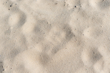 Sand Texture. Brown sand. Background from fine sand. Sand background