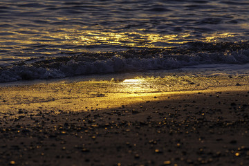 Shoreline at dawn. A vacation beach reflecting sunlight at dawn.