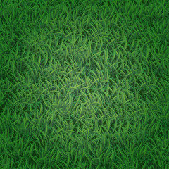Grass Seamless Pattern