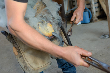 Blacksmith at work