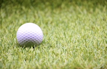 golf ball on green grass