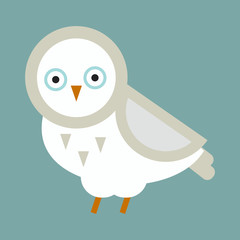 Owl bird cartoon vector