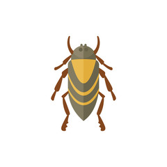 insect flat style vector design icons. nature beetle cartoon illustration
