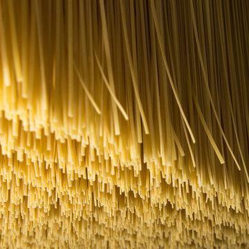 Lavorazione di spaghetti in fabbrica artigianale