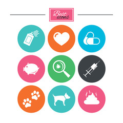 Veterinary, pets icons. Dog paws, syringe signs.