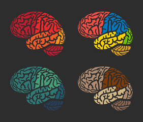 Isolated abstract colorful brain logo collection. Human cerebral hemispheres on black background logotype set.