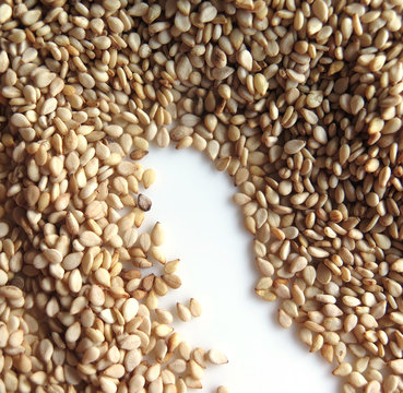 Sesame Seeds on a white background