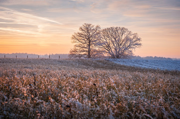Winter Evening