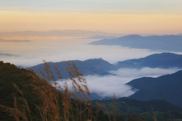 Beautiful scenery during sunrise with the mist of Doi Pha Phung at Nan province in Thailand is a very popular for photographer and tourists. Attractions and natural Concept