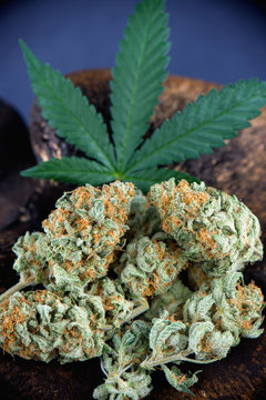 Detail of cannabis buds arrangement (mango puff strain) with pot