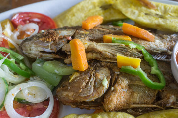 Fototapeta na wymiar fried fish served with salad, plantains and sauce, American Style
