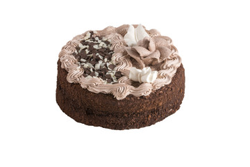 Delicious chocolate cake isolated on white
