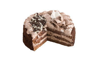 Delicious chocolate cake isolated on white

