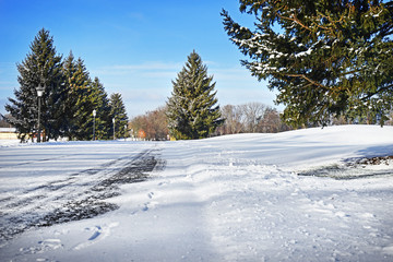 Fototapeta na wymiar Beautiful winter landscape on sunny day