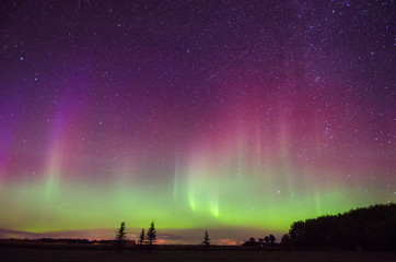Northern Lights at Great woods park