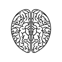 human brain organ icon over white background. vector illustration