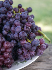 Red wine Grapes