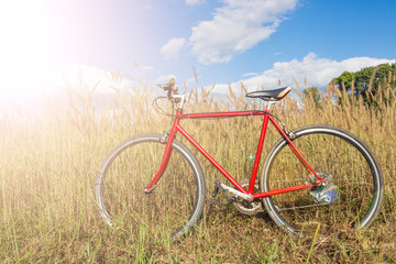 Naklejka premium red bicycle and blue sky background