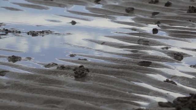 Salt Water on the beach