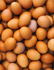 Eggs. Chicken eggs. Background of eggs