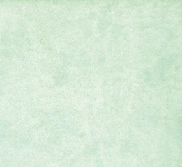 Light green color leather pattern.