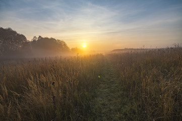 Fototapeta na wymiar misty and sunny morning in the countryside