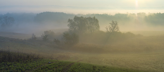 Naklejka na ściany i meble misty and sunny morning in the countryside