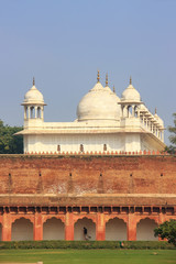 Fototapeta na wymiar Moti Masjid (Pearl Mosque) in Agra Fort, Uttar Pradesh, India