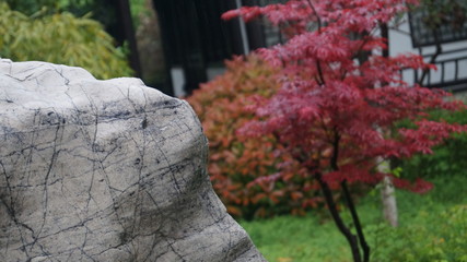 Природа Китая