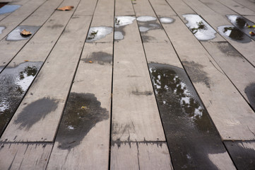 Wooden background. Texture