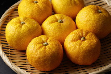 柚子　Yuzu. Japanese citron