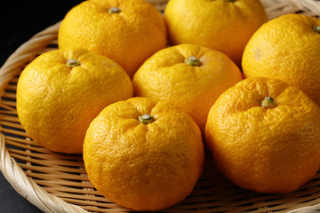 柚子　Yuzu. Japanese citron