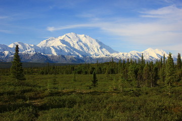 Mount Denali, Mckinly