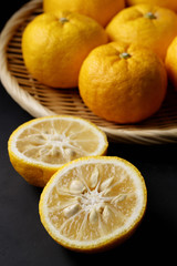 柚子　Yuzu. Japanese citron