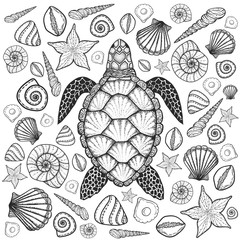 Sea turtle and shells in line art style. Hand drawn vector illus