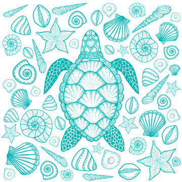 Sea turtle and shells in line art style. Hand drawn vector illus