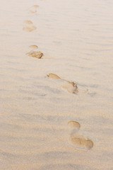 Traces of man walking towards sand