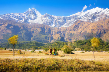 Nepalese farmers, villagers, carry baskets of firewood at Kali Gandaki river valley under...