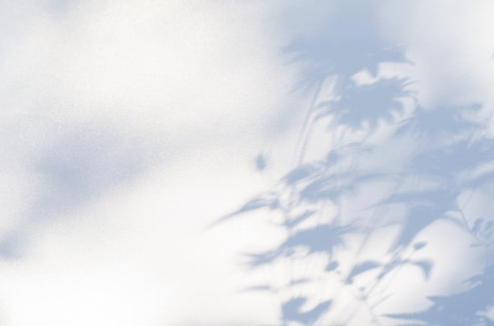 Shadows of flowers on a white semi-transparent cloth