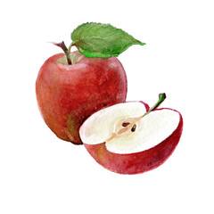 Watercolor Apples on a white background. Sliced fruit.  Peeled half apple.  Red apple illustration. 
