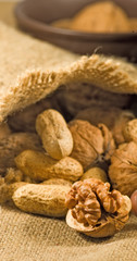 Big walnuts in a sack close-up.