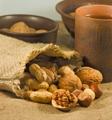 Big walnuts in a sack close-up.