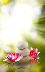 Image of stones and lotus flower on the water.