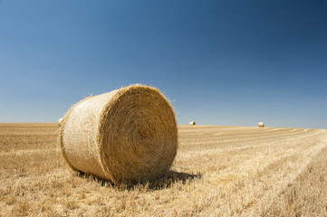 Balas de paja en campo de cereal