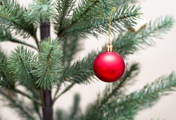 Obraz na płótnie Canvas Decorated Christmas tree, vivid red sparkling ball,selective focus