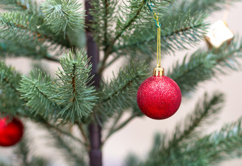Fototapeta na wymiar Decorated Christmas tree, vivid red sparkling ball,selective focus